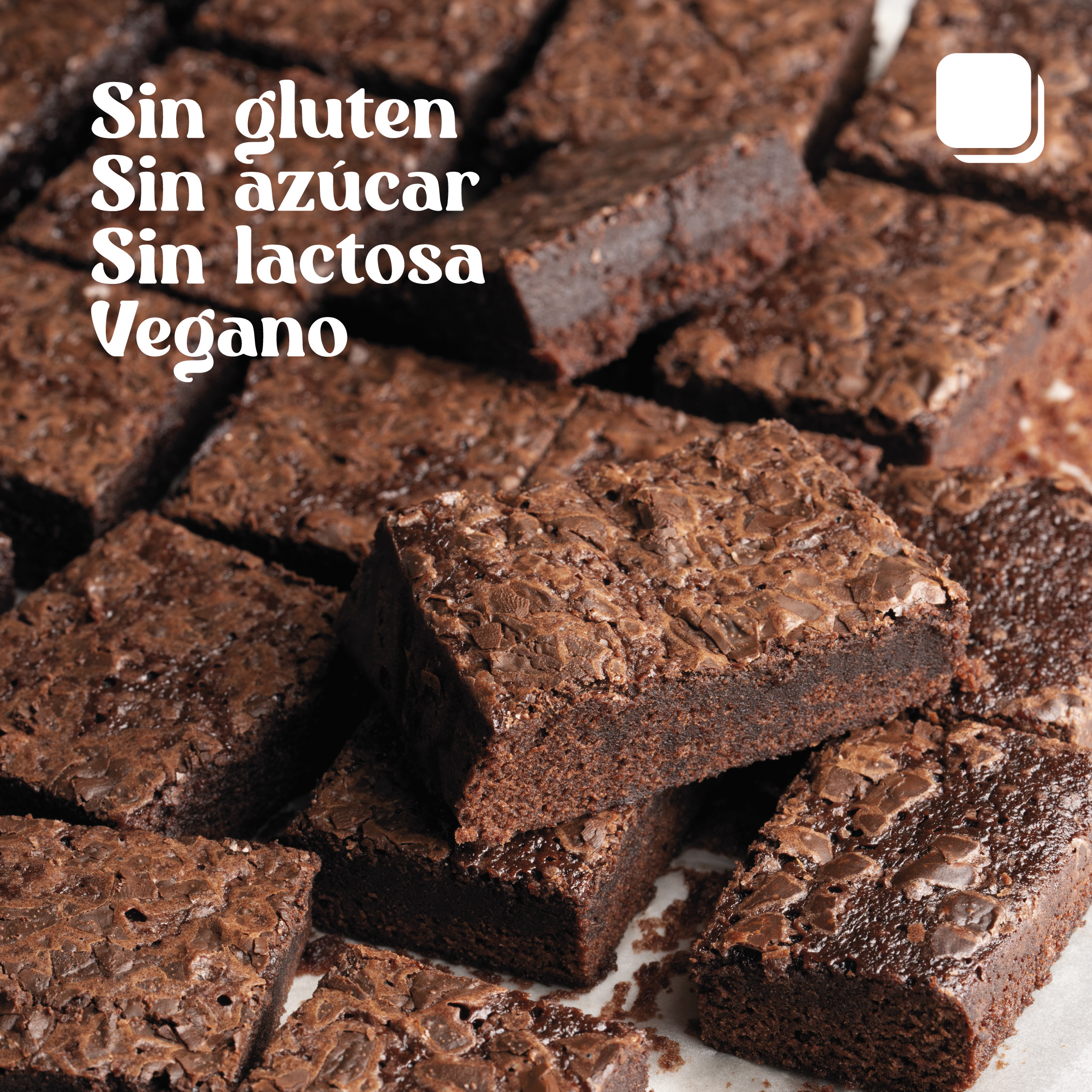 feed_Mesa de trabajo 1 copia 22